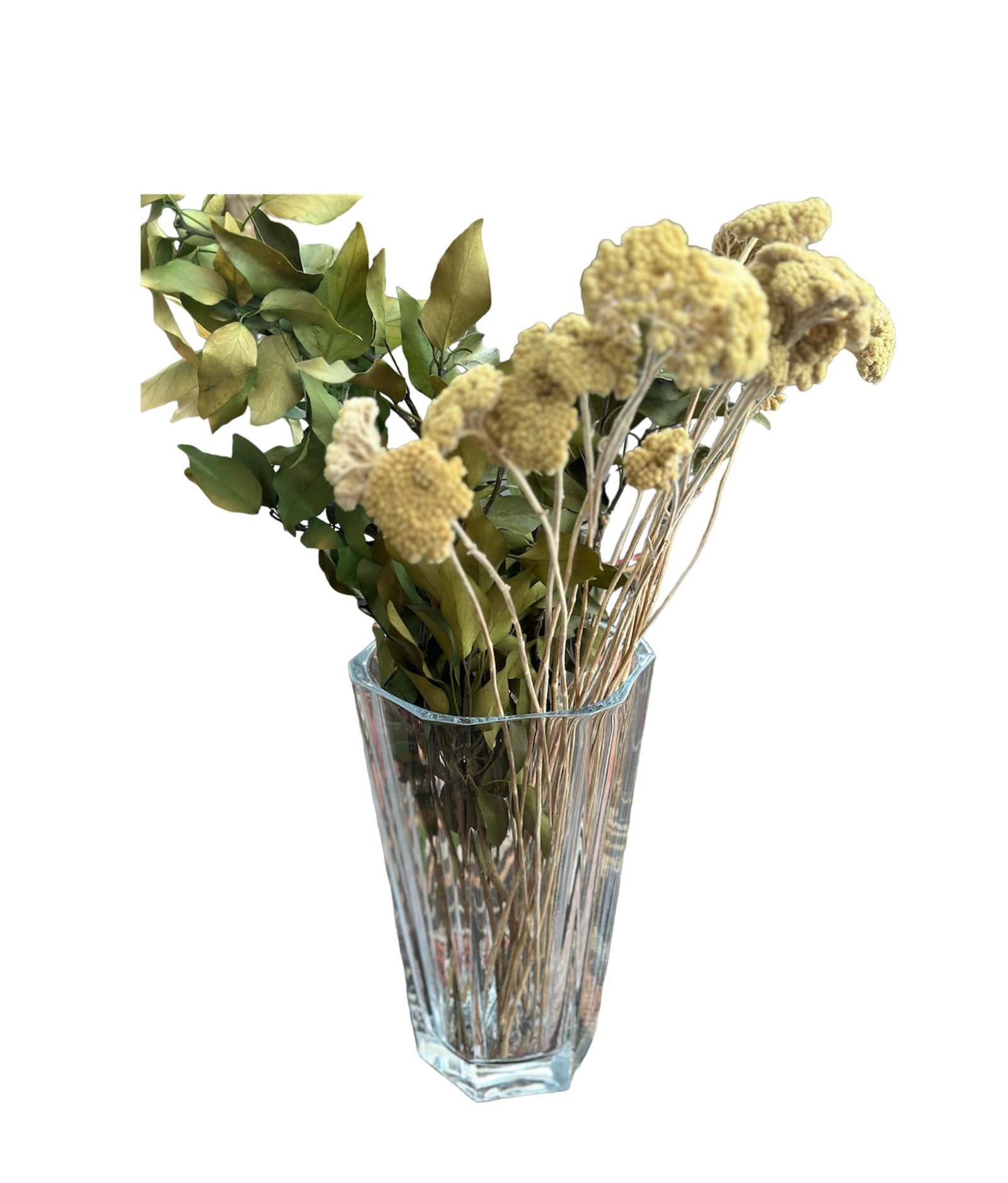 Photoroom_20240501_202754