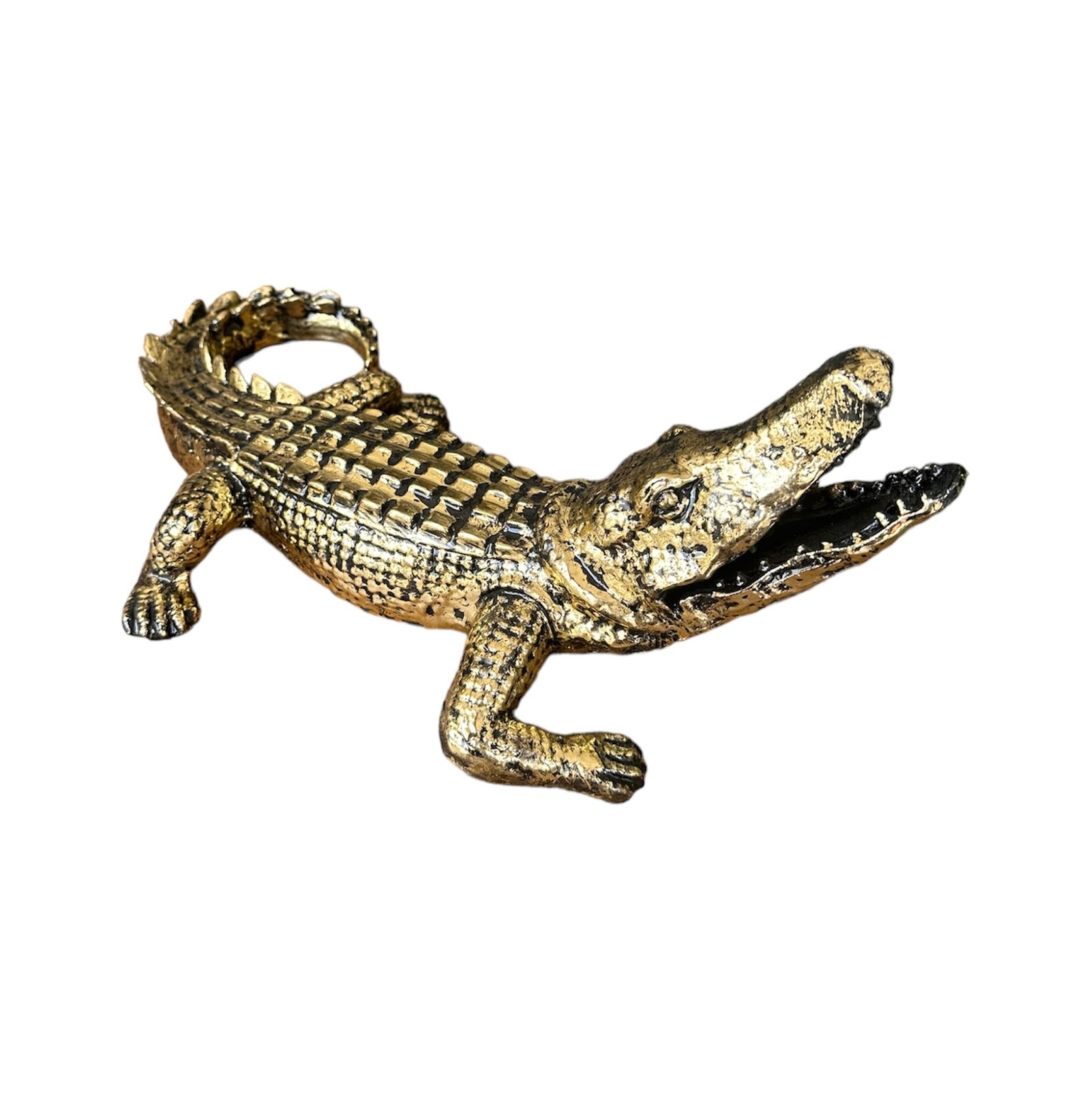 Photoroom_20240612_105622