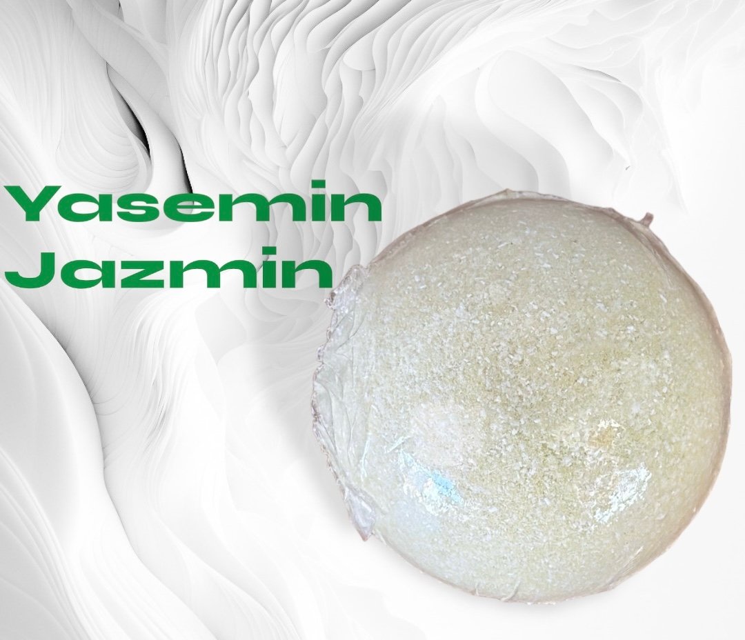 Photoroom_20240723_031629