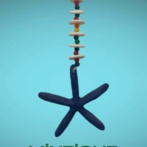 Deniz Yıldızı duvar/ kapı süsü